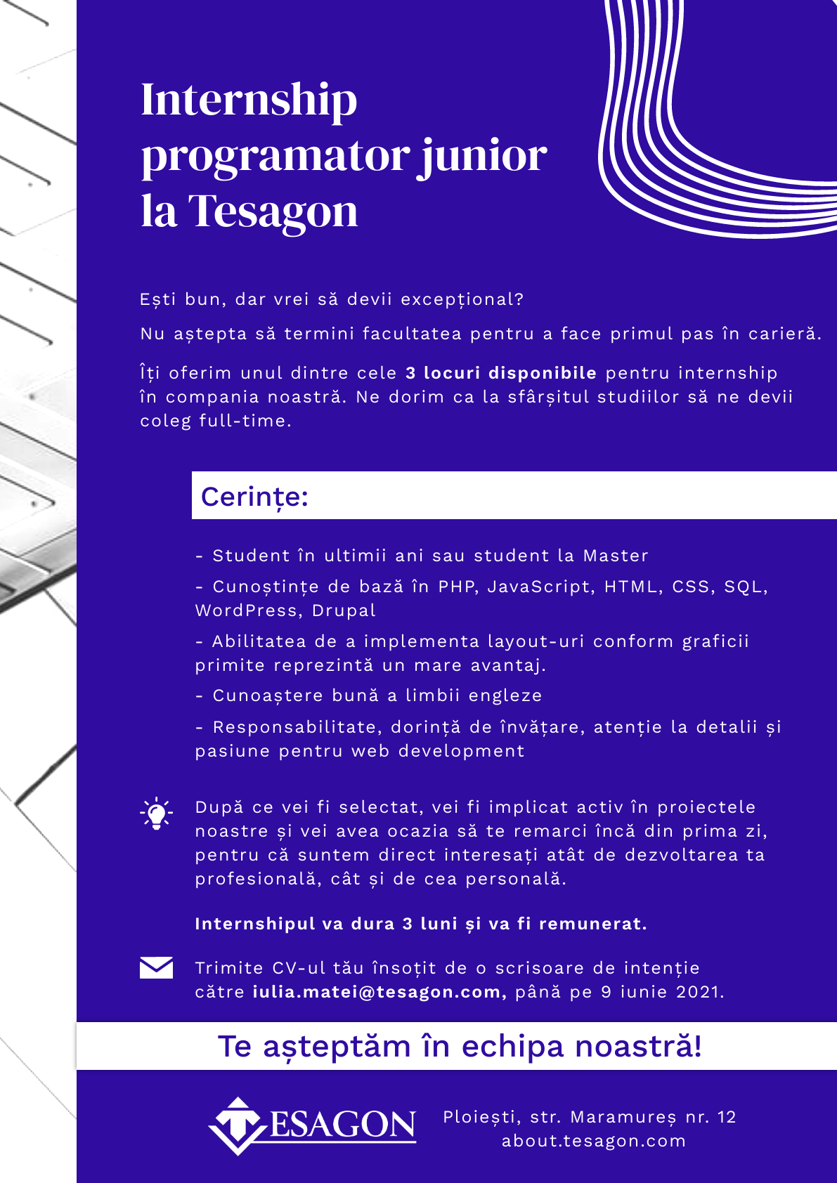 Internship programator junior la Tesagon